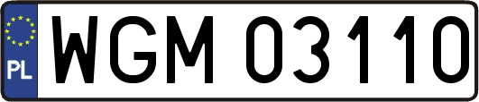 WGM03110