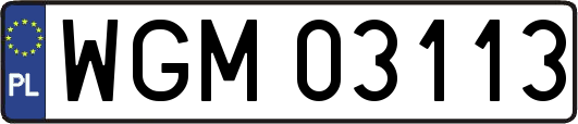 WGM03113