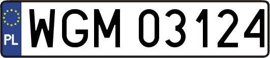 WGM03124