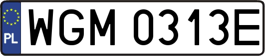 WGM0313E