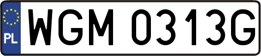 WGM0313G