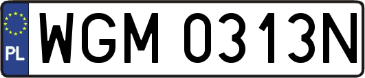 WGM0313N