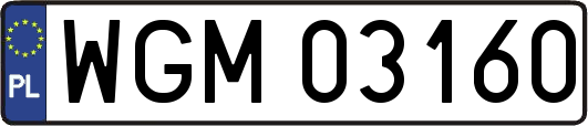 WGM03160