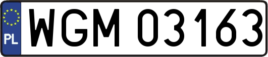 WGM03163