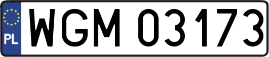 WGM03173