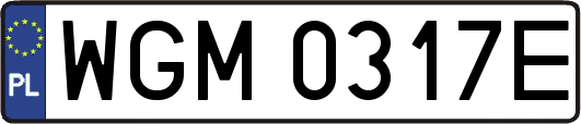 WGM0317E