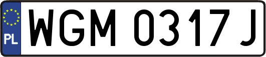 WGM0317J
