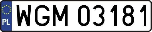 WGM03181