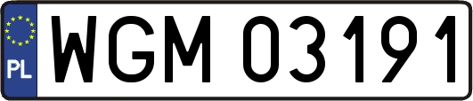 WGM03191
