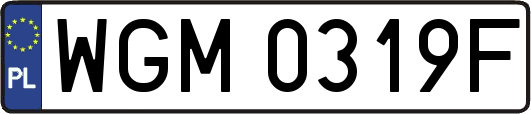 WGM0319F