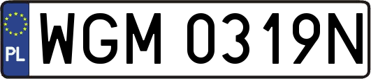 WGM0319N