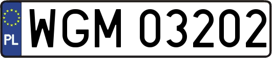 WGM03202