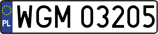 WGM03205