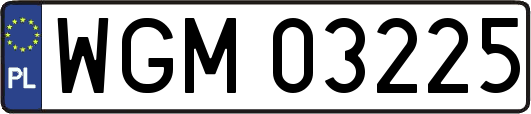 WGM03225