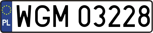 WGM03228