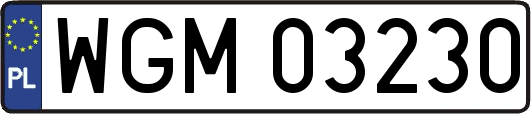 WGM03230