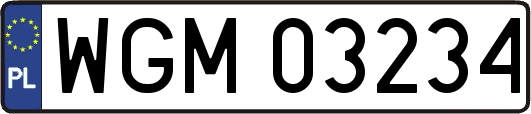 WGM03234