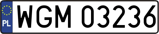 WGM03236