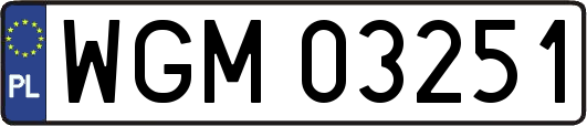 WGM03251