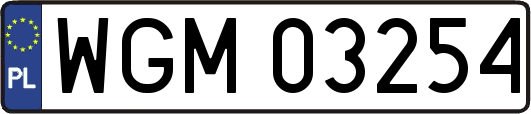 WGM03254