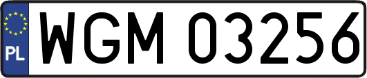 WGM03256