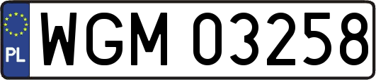 WGM03258