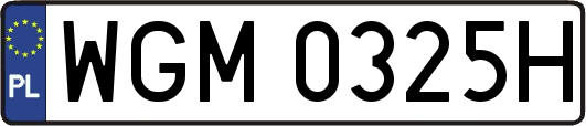 WGM0325H