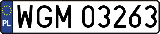 WGM03263