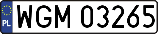 WGM03265