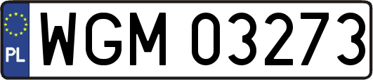 WGM03273