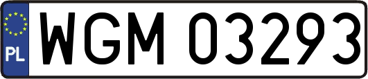 WGM03293