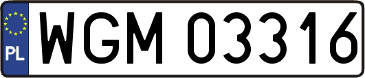 WGM03316