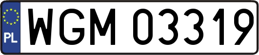 WGM03319