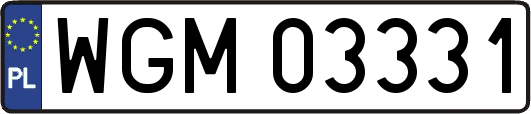 WGM03331