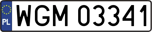 WGM03341