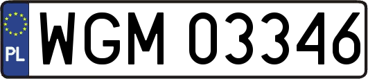 WGM03346