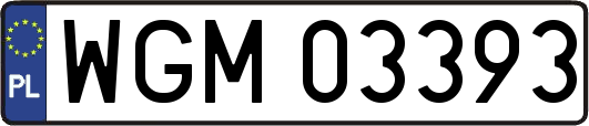 WGM03393