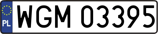 WGM03395