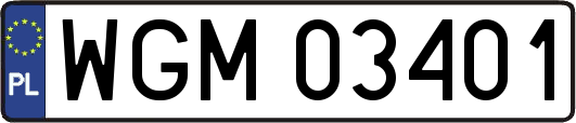 WGM03401