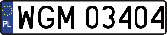 WGM03404