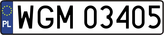 WGM03405