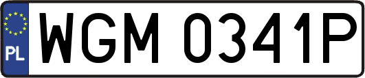 WGM0341P