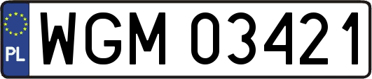 WGM03421