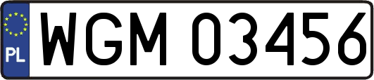 WGM03456