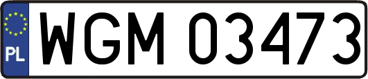 WGM03473