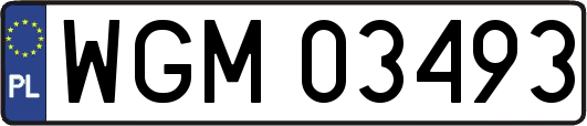 WGM03493