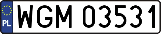 WGM03531
