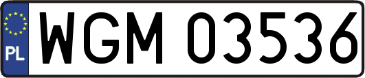 WGM03536