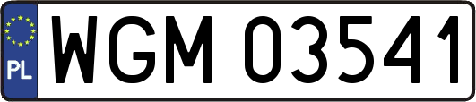 WGM03541