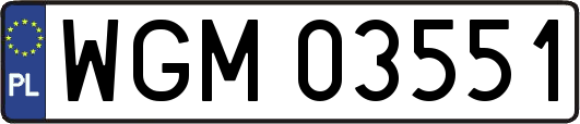 WGM03551